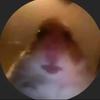 Profile Picture of Howard Peeples552 (@givemesome05) on Tiktok