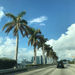 Profile Picture of Nelson Gauthier (@nels.gauth) on Instagram