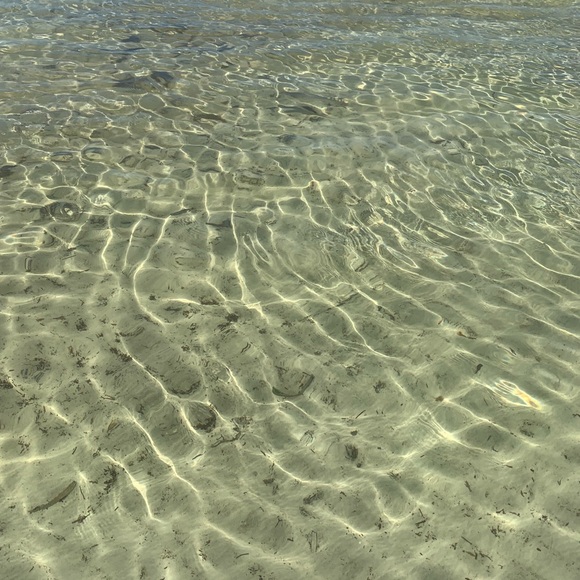 Safaa Bernoussi - Poshmark Profile Picture of Safaa Bernoussi (@safaa06) on Poshmark