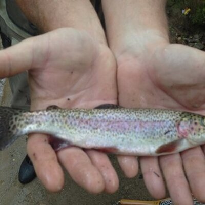 Profile Picture of Brian Huckaby (@Bighuck23Brian) on Twitter