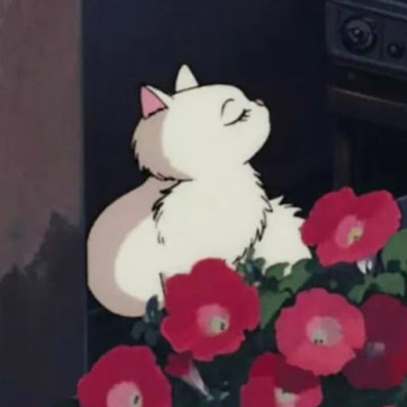 Profile Picture of Storm Storm (@raineha2003) on Poshmark