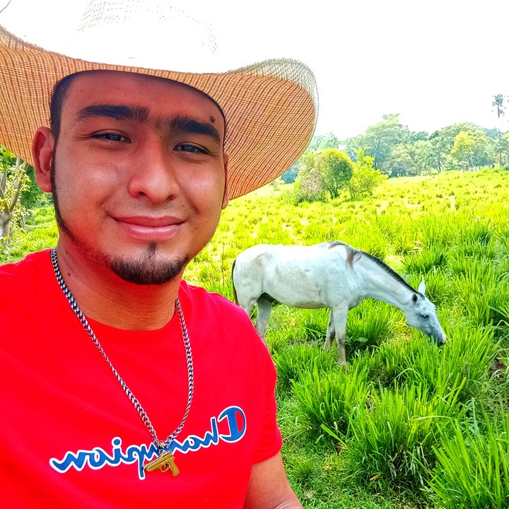 Profile Picture of Peter Ruano (@peterruano) on Tiktok