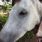 Profile Picture of Josh Sage (@josh.sage) on Instagram