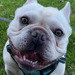 Profile Picture of Sonny jenkins (@sonnyjsmiles) on Instagram