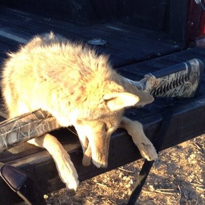 Profile Picture of Joshua Szymanski (@mardack) on Twitter