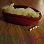 Profile Picture of Robin Shelton (@robinlynnformby) on Instagram