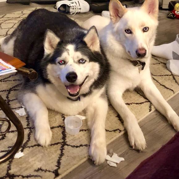 Profile Picture of Joan Judge-stevenson (@stevensonjoan) on Poshmark