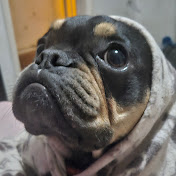 Mark Dukes - Youtube Profile Picture of Mark Dukes (@markdukes4541) on Youtube