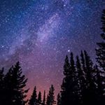 Profile Picture of Crystal Banks (@crystal_light_forever) on Instagram