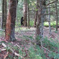 Profile Picture of Sherry Cavanaugh (@sherry-cavanaugh) on Quora