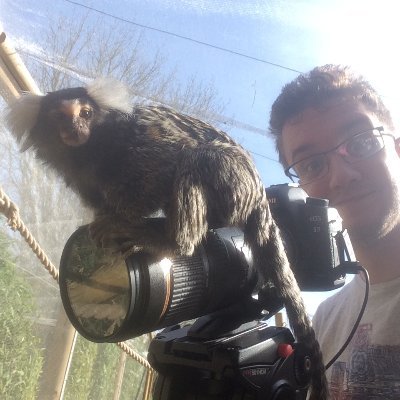 Profile Picture of Jon Plant (@jpfplant) on Twitter