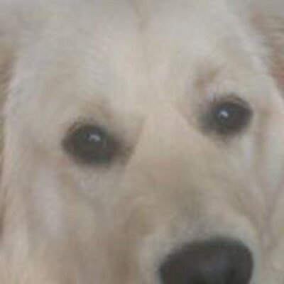 Profile Picture of Stuart Irwin (@StuartJohnIrwin) on Twitter