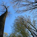 Profile Picture of Joshua_11111! (@joshua_oyler07107) on Instagram