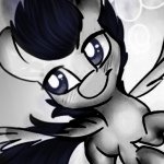 Profile Picture of Alexander Trotter (@alexander_trotter) on Instagram