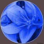 Michelle Buswell - Instagram Profile Picture of Michelle Buswell (@vtotdhsh9dbzldt) on Instagram