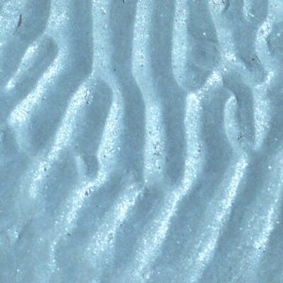 Profile Picture of Audrey Thomas (@AudreyTms) on Twitter