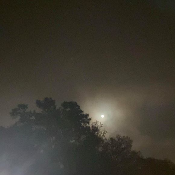 Profile Picture of Heather Curp (@heatherc34) on Poshmark