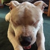 Profile Picture of charlesbennydupree (@@bdupree1215) on Tiktok