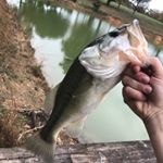 Profile Picture of Sam England (@bass_assassins13) on Instagram