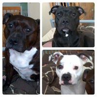 Profile Picture of Ray Lucas Plunkett (@ray-lucas-plunkett) on Quora