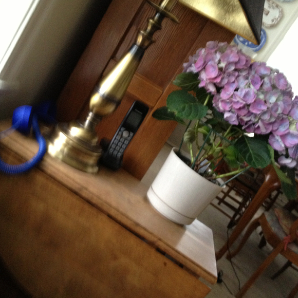 Gail Nussbaum - Poshmark Profile Picture of Gail Nussbaum (@liag) on Poshmark