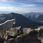 Profile Picture of John Flehmer (@powderstix) on Instagram