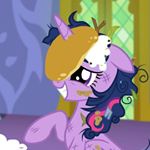 Profile Picture of Brady Brower (@pinkiepiepotatopie) on Instagram