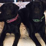 Profile Picture of Kacy Arnold (@arnold.kacy) on Instagram