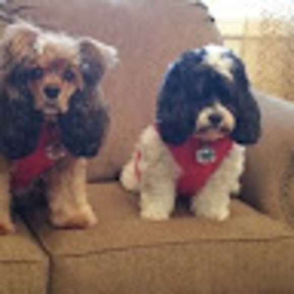 Profile Picture of Janet Komacko (@jkomacko) on Poshmark