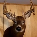 Profile Picture of Jason Bixby (@jbixby98) on Instagram