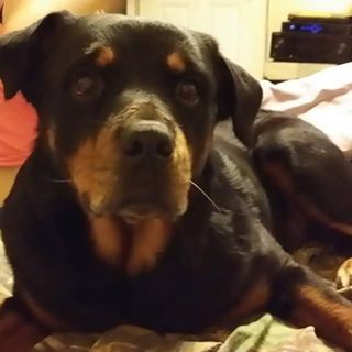 Profile Picture of Brad Hartley (@brad.hartley.965) on Facebook