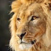 Profile Picture of Jason Oberle (@jasonoberle3702) on Youtube