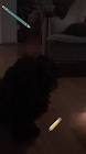 Profile Picture of   Sammy en Tommy... (@sambal.tomtom) on Tiktok