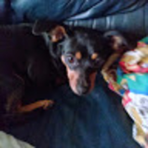 Profile Picture of Barbara Fitchett (@barbarafitchett) on Poshmark