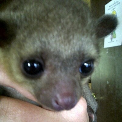 Profile Picture of Dennis Mellen (@___Dennis_) on Twitter