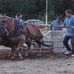 Profile Picture of Richard Boucher (@richard.boucher.1000) on Facebook