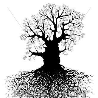 Profile Picture of Ken Carr (@chowdah7) on Twitter