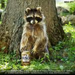 Profile Picture of Jeff Coon (@jeff.coon.9) on Instagram