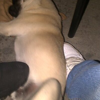 Profile Picture of Joseph Loaiza (@josephloaiza) on Twitter