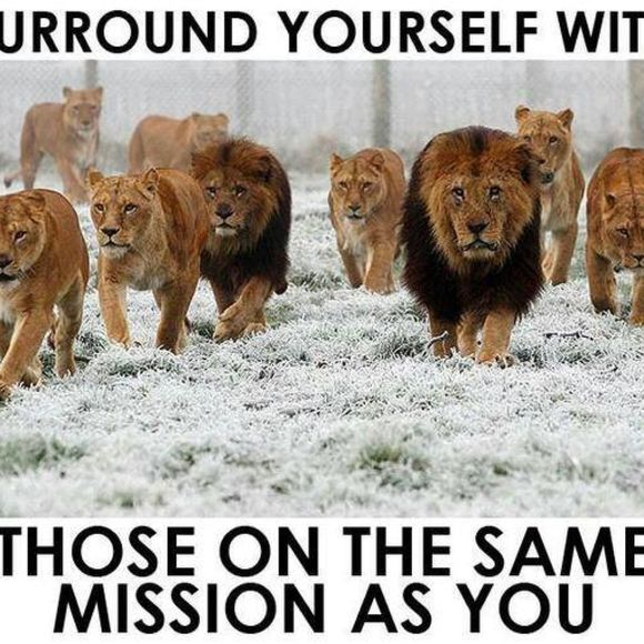 Profile Picture of Jaafar Moufid (@jaafarmoufid) on Poshmark