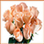 Profile Picture of Rajkumar Rajkumar (@prince of .......) on Flickr