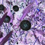 Luisa Santoro - Instagram Profile Picture of Luisa Santoro (@luisa.santoro.80) on Instagram