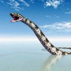 Profile Picture of Ivy Jimenez (@ivyjimenez572) on Twitter