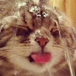 Profile Picture of Hans Kluge (@hans.kluge) on Instagram