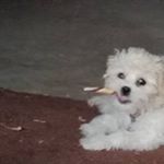 Profile Picture of Gary de Forest (@deforestgary) on Instagram