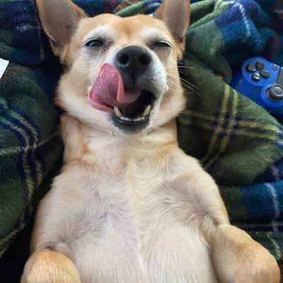 Profile Picture of Jonathan Mcclure (@Jonatha02865954) on Twitter