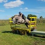 Profile Picture of Amanda Dobbs (@mandyjd84) on Instagram