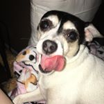 Profile Picture of Chloe Inman (@triple_moon_goddess_) on Instagram