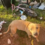 Profile Picture of Haydon Cline (@haydon.cline) on Facebook