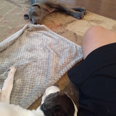 Profile Picture of Eric Terwilliger (@EricTerwillige3) on Twitter